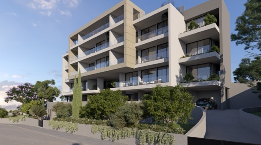 section catalog photo